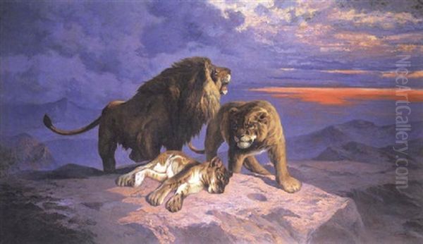 A Pride Of Lions Oil Painting by John (Giovanni) Califano