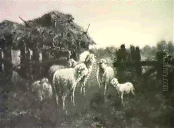 Sheep Outside Barn by John (Giovanni) Califano