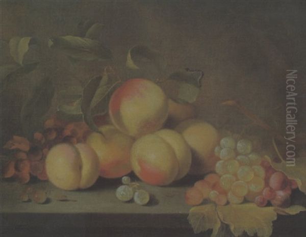 Stilleben Mit Pfirsichen Und Weintrauben Oil Painting by Abraham Van Calraet