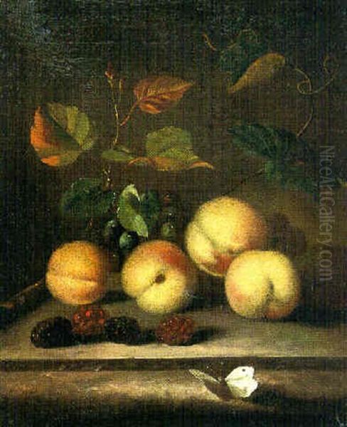 Stilleben Mit Beeren, Pfirsichen Und Schmetterling Auf Einer Steinbrustung Oil Painting by Abraham Van Calraet