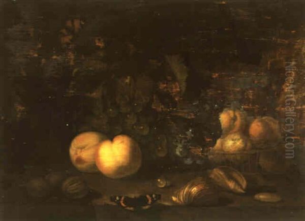 Still Life With Fruit And Shells Arranged On A Ledge Oil Painting by Abraham Van Calraet