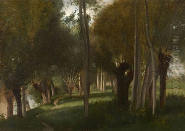 Arbres Pres D'une Riviere Oil Painting by Adolphe Felix Cals