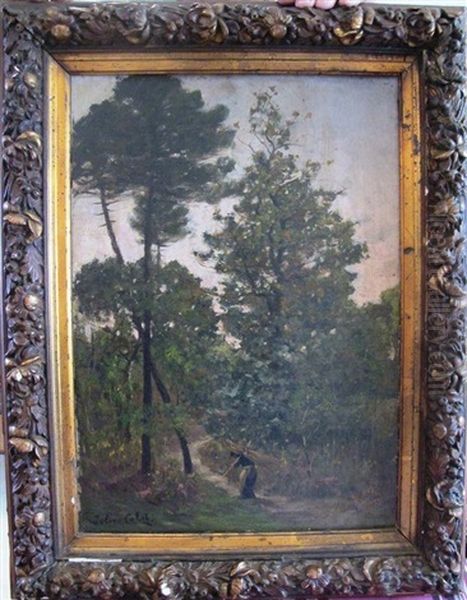 Le Ramassage Du Bois Dans La Foret Landaise Oil Painting by Julien Calve