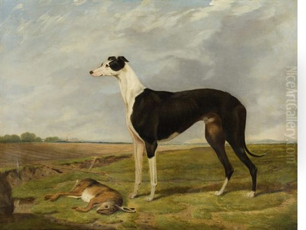 Brigadier, Winner Of The Waterloo Cup Oil Painting by Henry Calvert