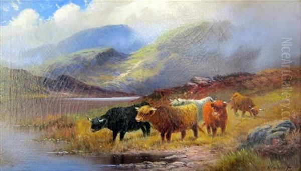 Highland Cattle Oil Painting by Henry Calvert