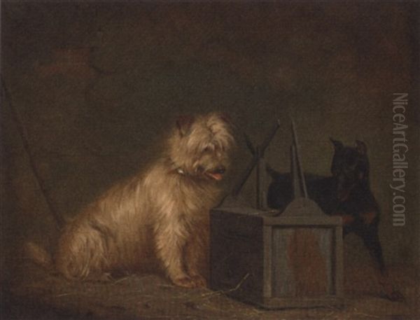 The Rat Trap Oil Painting by Henry Calvert