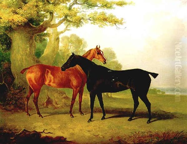 Two Horses In A Pasture Oil Painting by Henry Calvert