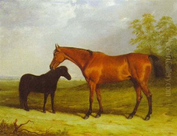 A Bay Gelding With A Black Pony In An Extensive Landscape Oil Painting by Henry Calvert