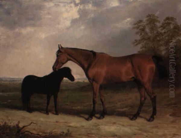 Study Of A Bay Hunter And A Black Pony In A Landscape Oil Painting by Henry Calvert