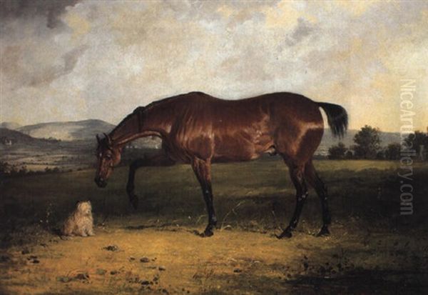 Study Of A Bay Horse And A Terrier In A Landscape Oil Painting by Henry Calvert