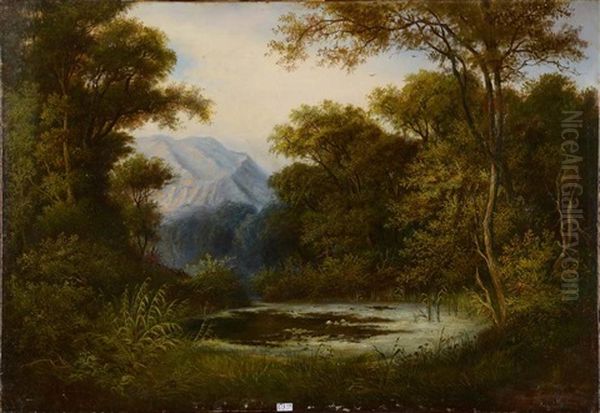 Etang En Foret Oil Painting by Vicente Camaron y Torra