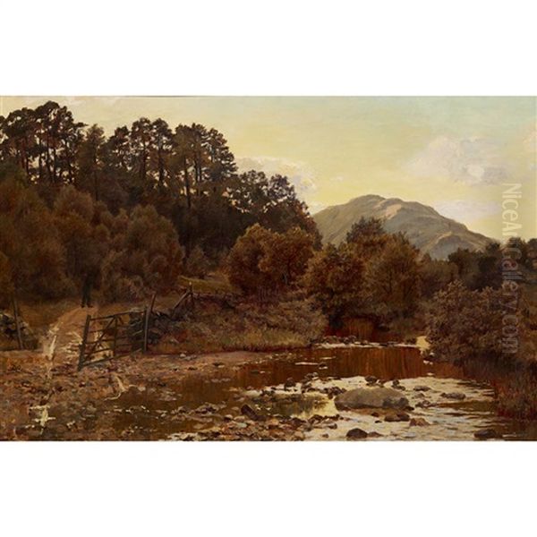 Tom Dhu, Glenfinlas, Evening Oil Painting by Duncan Cameron