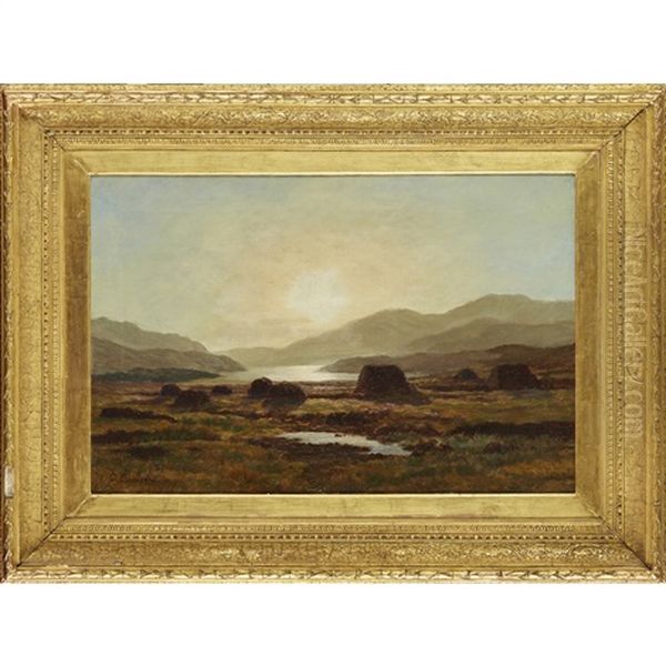 Peat Moss, Near Loch Vennachar Oil Painting by Duncan Cameron