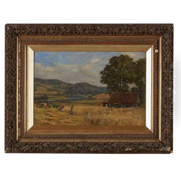 Harvest At Scoonieburn Oil Painting by Duncan Cameron