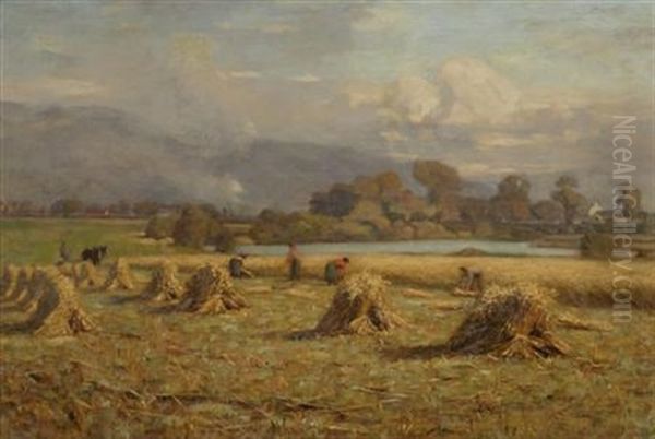 Harvest-time Oil Painting by Duncan Cameron