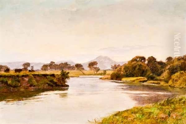 Evening On The Forth, Looking Towards Ben Ledi Oil Painting by Duncan Cameron