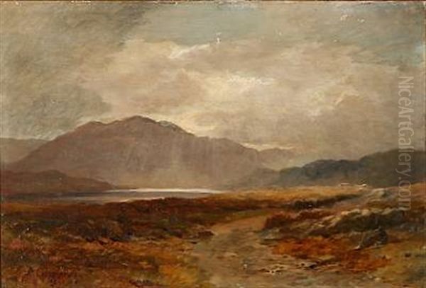 Autumn Loch Landscape (in Scotland?) Oil Painting by Duncan Cameron