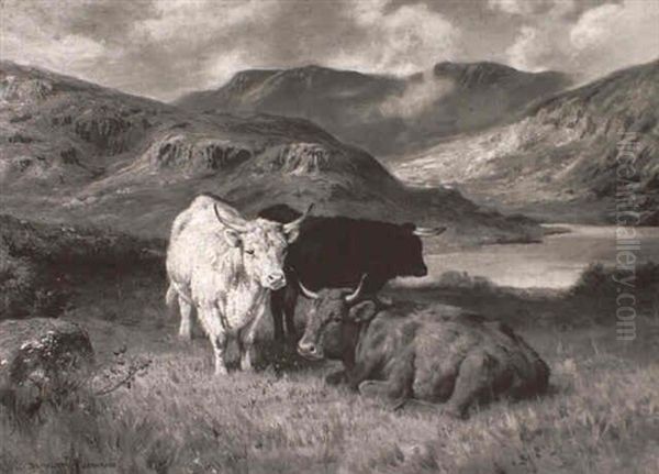 Highland Cattle In A Mountain Lanscape Oil Painting by Duncan Cameron