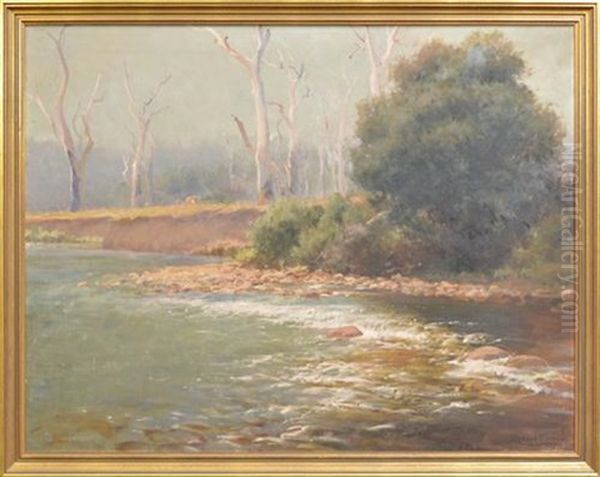 Untitled (cattle By The River) Oil Painting by Robert Camm