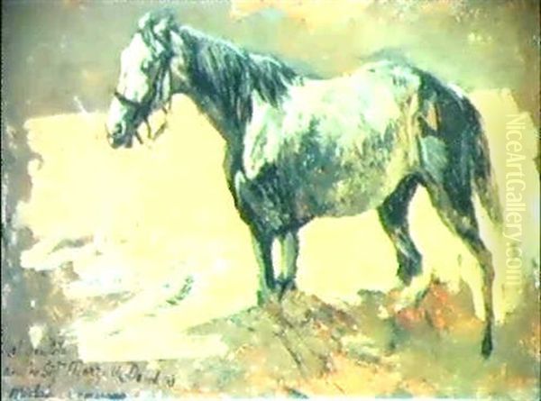 Cavallo Oil Painting by Michele Cammarano