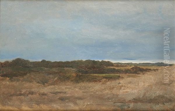 Les Dunes Sous Un Ciel Bleu Oil Painting by Camille Van Camp