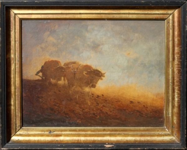 Man Plowing With Cattle Oil Painting by A.S. Campbell