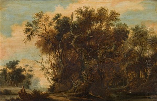 Waldlandschaft Mit Baumen Oil Painting by Joachim Govertsz Camphuysen