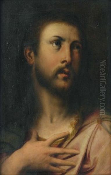 Head Of Christ Oil Painting by Antonio Campi