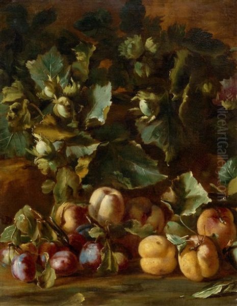 Still Life With Peaches, Plums And Hazel Nuts Oil Painting by Michelangelo di Campidoglio