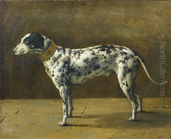 Portrait De Chien Oil Painting by Michelangelo di Campidoglio