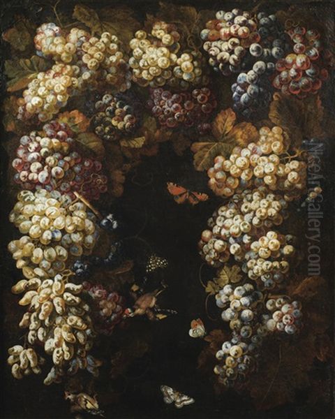 Nature Morte A La Treille De Raisins Oil Painting by Michelangelo di Campidoglio