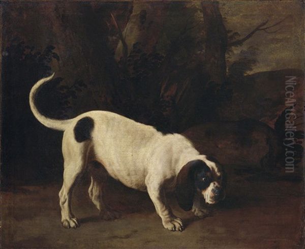 Jagdhund In Einer Landschaft by Michelangelo di Campidoglio