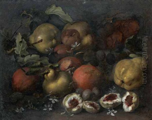 Natura Morta Di Frutta Oil Painting by Michelangelo di Campidoglio