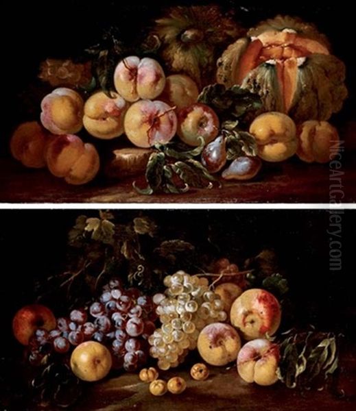 Squash, Peaches, Plums And Grapes On A Stone (+ Grapes, Peaches And Apricots On The Ground; Pair) Oil Painting by Michelangelo di Campidoglio