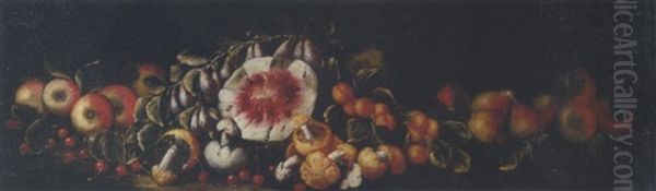 Cherries, Apples, Pears, Peaches, Mushrooms And A Watermelon On A Ledge Oil Painting by Michelangelo di Campidoglio