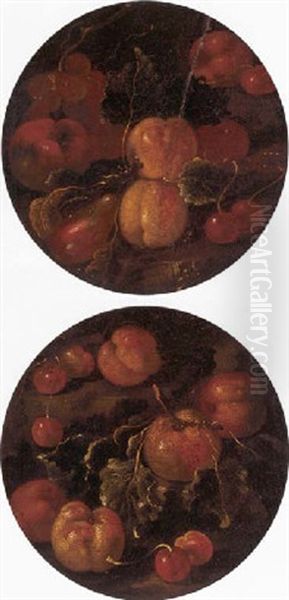 Apples, Peaches And Cherries On A Ledge Oil Painting by Michelangelo di Campidoglio