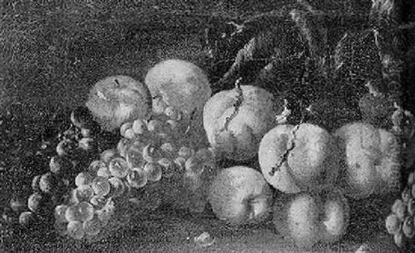 Still Life Of Grapes, Vines And Peaches Scattered On The Ground Oil Painting by Michelangelo di Campidoglio