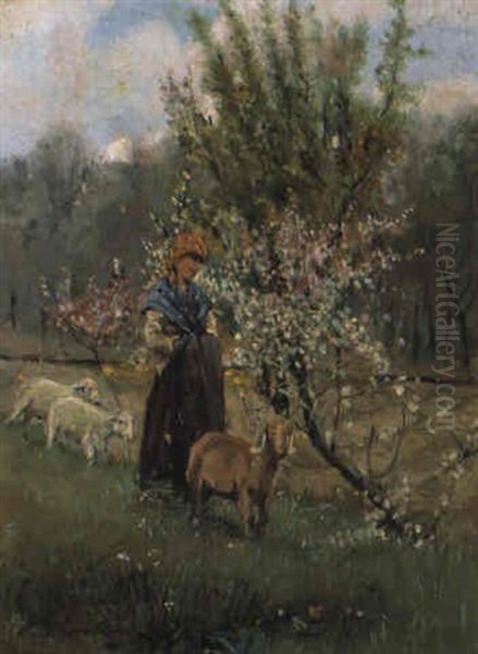 Pastorella Tra I Fiori Oil Painting by Alceste Campriani