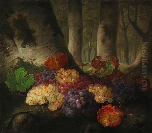 Black And White Grapes On A Forest Floor Oil Painting by Johannes Ludwig Camradt