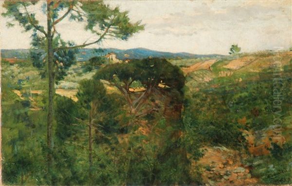 Colline A San Giminiano Oil Painting by Niccolo Cannicci