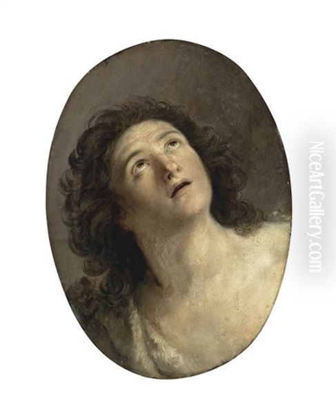 Saint John The Baptist Oil Painting by Simone Cantarini