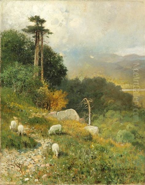 Sheep/landscape Oil Painting by James Cantwell