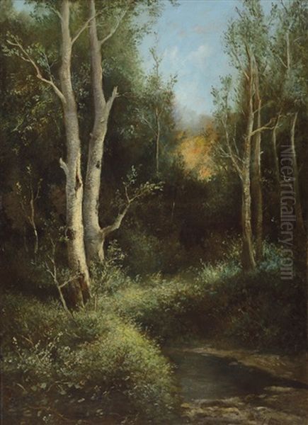 Nel Bosco Oil Painting by Francesco Capuano