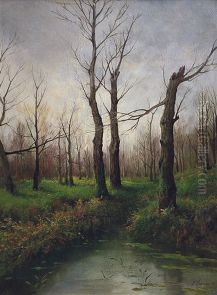 Ruscello Nel Bosco Oil Painting by Francesco Capuano