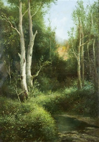 Sottobosco Con Ruscello Oil Painting by Francesco Capuano