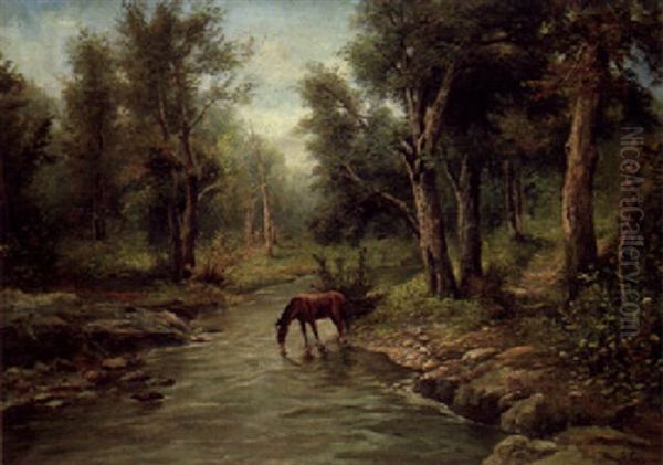 A Horse Watering In A Wooded River Landscape Oil Painting by Francesco Capuano