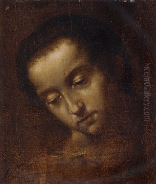 Study Of The Head Of A Saint Oil Painting by Lodovico (Il Cigoli) Cardi