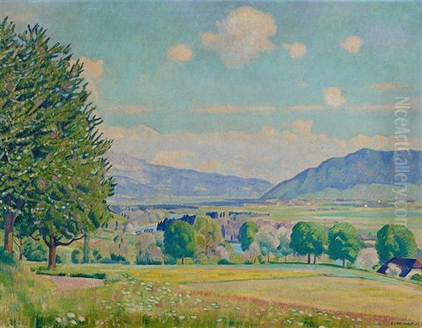 Fruhlingslandschaft Bei Bern Mit Blick Auf Die Berner Alpen Oil Painting by Emil Cardinaux