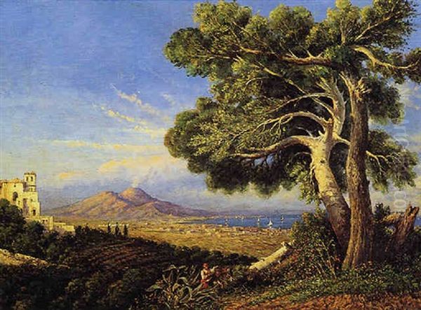 Il Golfo Di Napoli Col Vesuvio Nello Sfondo E Un Grande Albero In Primo Piano Oil Painting by Consalvo Carelli