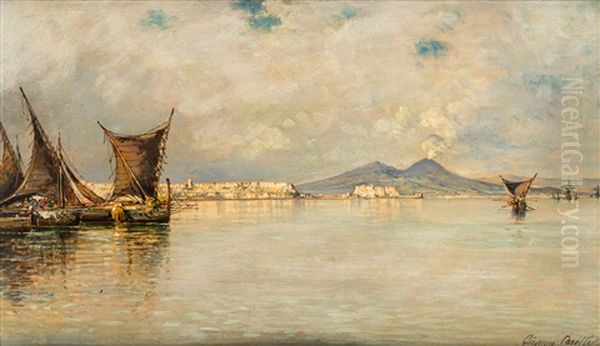 A View Of Vesuvius, Naples Oil Painting by Giuseppe Carelli